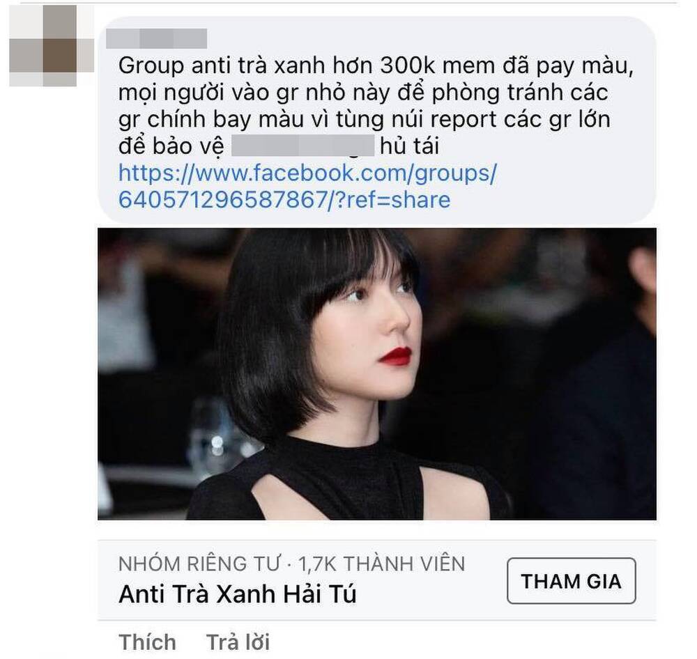  
Quản trị viên tiết lộ nhóm anti Hải Tú với 300 ngàn thành viên đã bị báo cáo bởi Sơn Tùng. (Ảnh: Chụp màn hình)