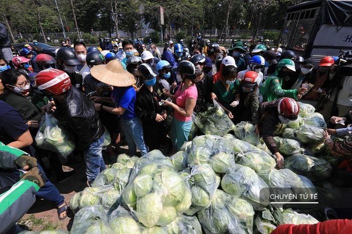  
Người dân Hà Nội chen nhau mua bắp cải. (Ảnh: Báo Mới)