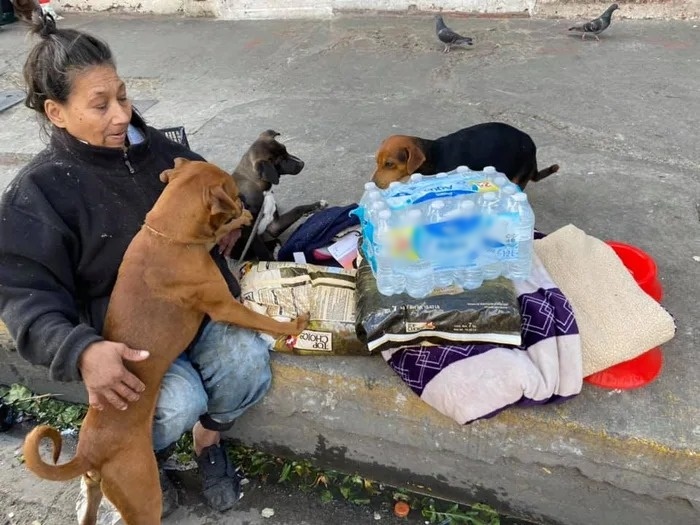  
Người đi đường biết chuyện đã ủng hộ cho bà và đàn chó đồ ăn, nước uống và chăn ấm. (Ảnh: Omar Camarillo)
