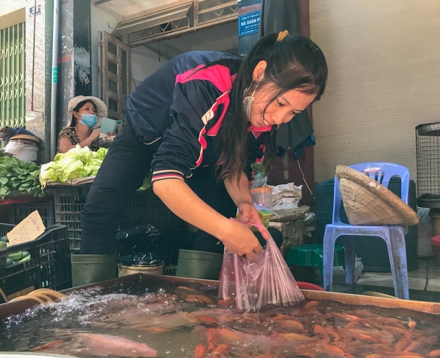 
Chị Nguyễn Thị Lan - 1 tiểu thương bán cá tại chợ bán cả sáng mới được 1/5 số cá nhập về. (Ảnh: Dân trí)