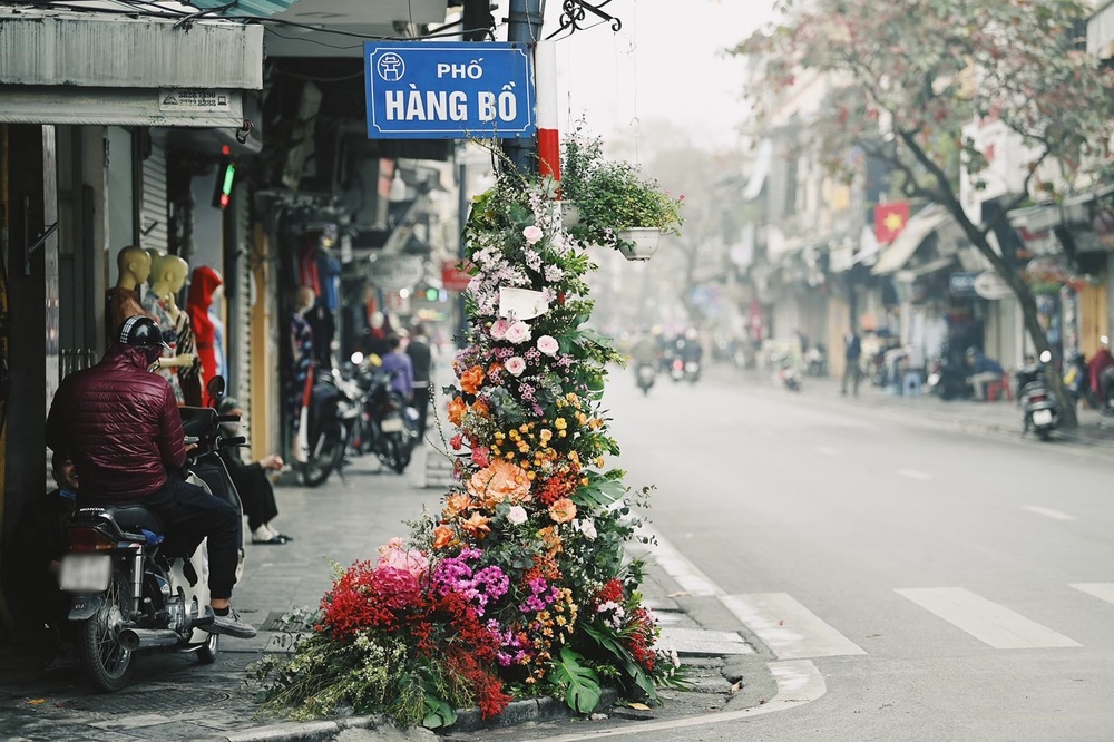  
Một góc phố Hàng Bồ trở nên rực sáng nhờ khóm hoa sắc màu (Ảnh: Trung tâm tin tức VTV24)