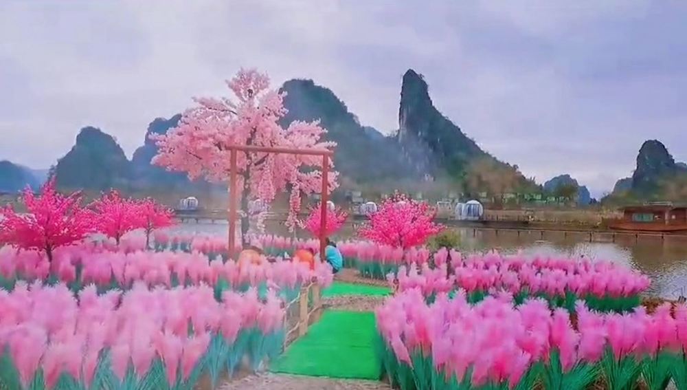  
Khu vườn màu hồng vô cùng lãng mạn của chàng trai người Trung Quốc. (Ảnh: Eminetra)