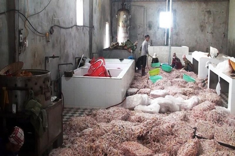 
Hàng trăm tấn chân gà đã hỏng được nhập lậu từ Trung Quốc về tiêu thụ. (Ảnh: Lao động thủ đô)