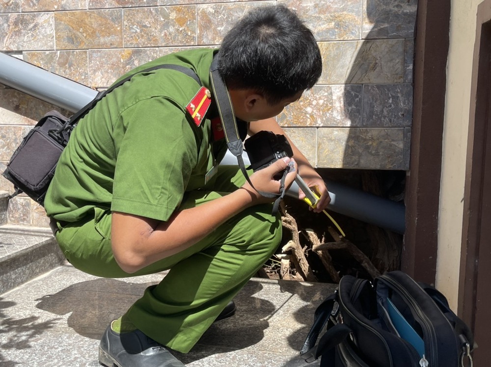  
Lực lượng chức năng xem xét gốc hoa giấy ở chùa Phổ Diệu. (Ảnh: Vietnamnet)