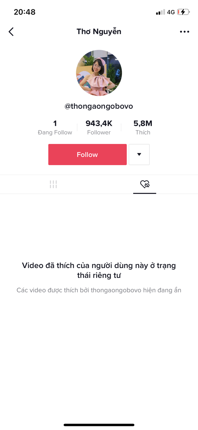  
Toàn bộ video trên kênh TikTok của Thơ Nguyễn đều đã bị ẩn. (Ảnh: Thanh Niên)