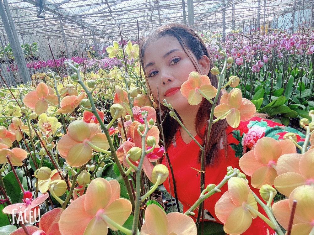 Cô chủ vườn lan Nguyễn Hằng và câu chuyện theo đuổi đam mê