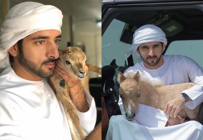  
Thái tử Dubai là một người rất yêu quý động vật. (Ảnh: Twitter)