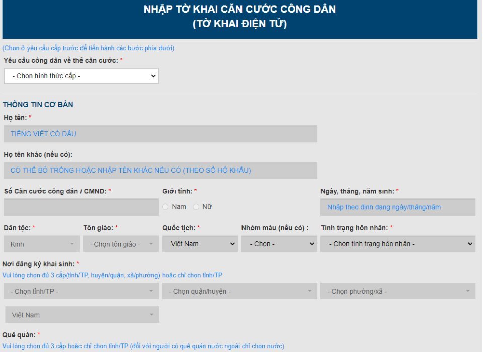  
Tại Hà Nội hay thành phố Hồ Chí Minh có thể điền tờ khai online cũng được hướng dẫn đầy đủ. (Ảnh: Chụp màn hình)
