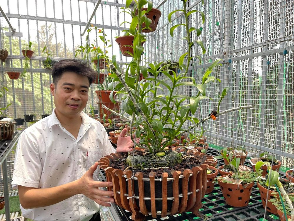 Thăm vườn lan đa sắc của chàng trai 8X Nguyễn Hữu Tân