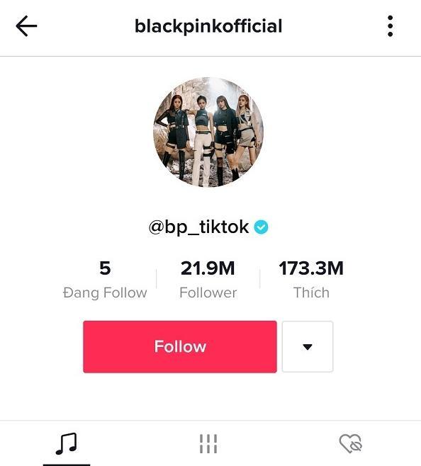  
Kênh Tiktok của BLAKCPINK có 30 triệu lượt theo dõi. (Ảnh: Chụp màn hình)
