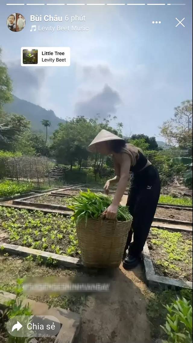 
Châu Bùi cũng "về quê nuôi cá trồng rau" thì phải. (Ảnh chụp màn hình) - Tin sao Viet - Tin tuc sao Viet - Scandal sao Viet - Tin tuc cua Sao - Tin cua Sao