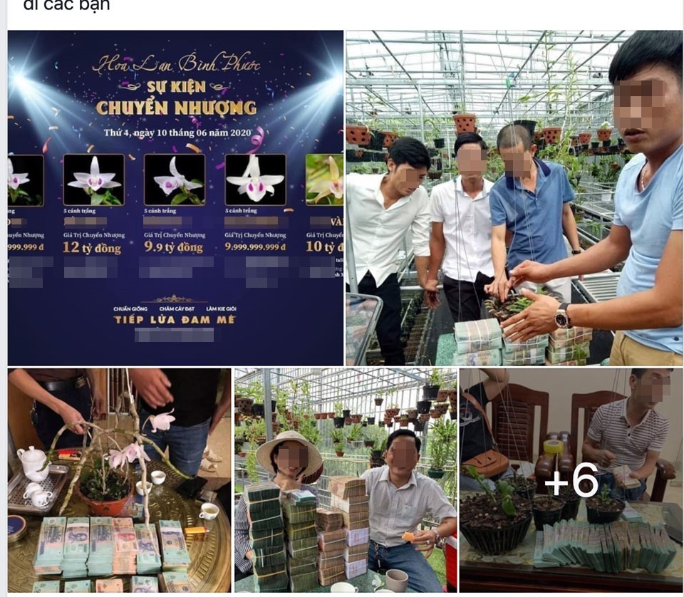  
Rất nhiều giao dịch lan tiền tỷ đều bị cho là chỉ để "làm màu". (Ảnh: Thanh Niên)