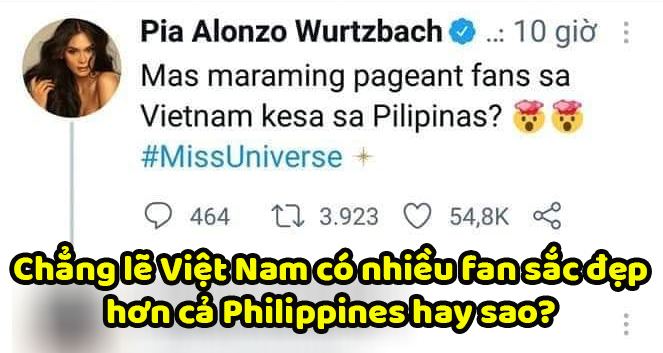  
Cựu Hoa hậu Hoàn vũ tỏ ý ngờ vực khi Việt Nam thắng giải bình chọn cao nhất. (Ảnh: Chụp màn hình)