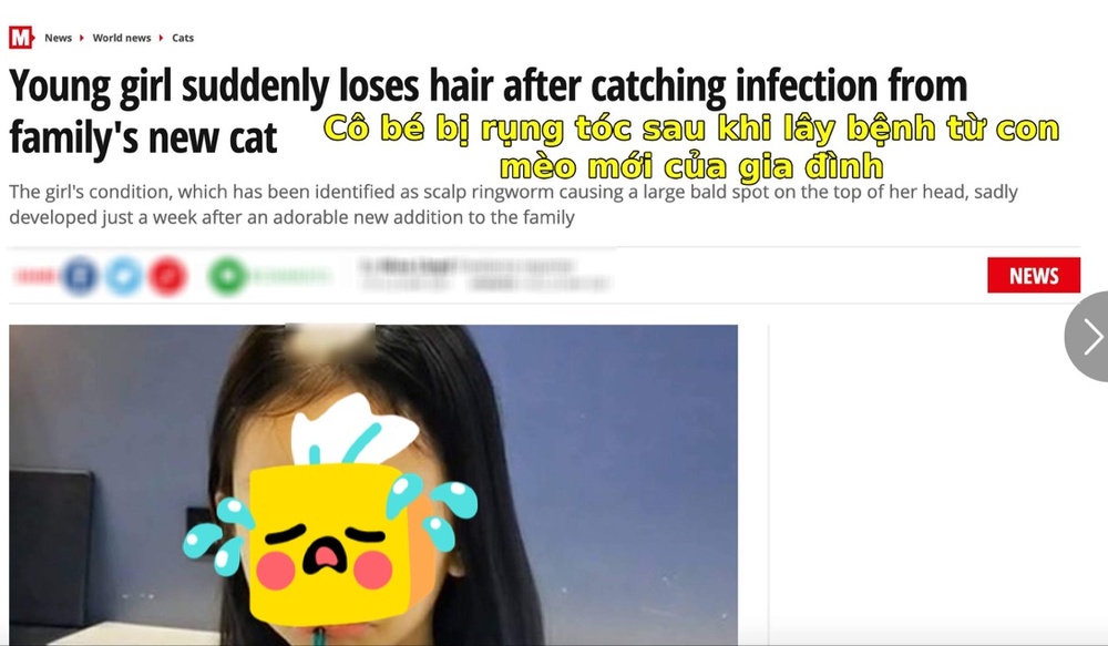  
Bài đăng trên một trang báo quốc tế để cảnh báo những ai nuôi mèo. (Ảnh chụp màn hình)