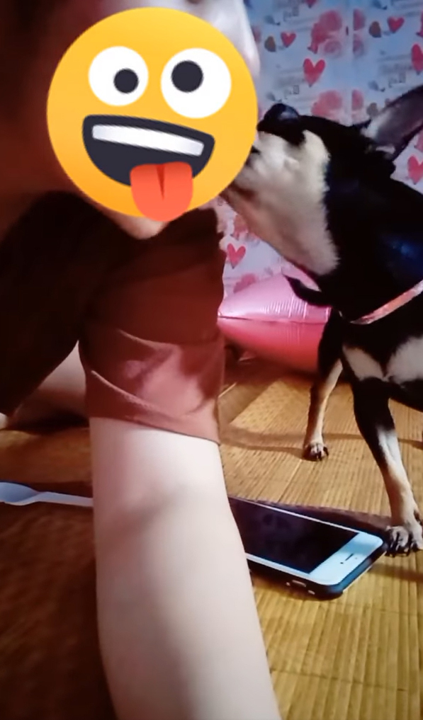  
Cô gái thản nhiên đá lưỡi với cún cưng. (Ảnh: Chụp màn hình)