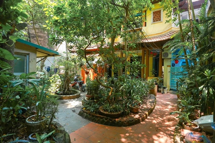  
Giữa trung tâm Hà Nội sầm uất, ngôi nhà vẫn giữ được khu vườn cây xanh lý tưởng. (Ảnh: Dân Trí)