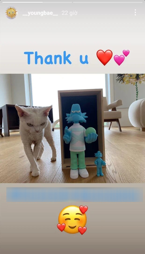  
Bức ảnh chụp lại chú mèo vô tình lộ cảnh nội thất căn penthouse do Taeyang đăng tải. (Ảnh: Chụp màn hình)