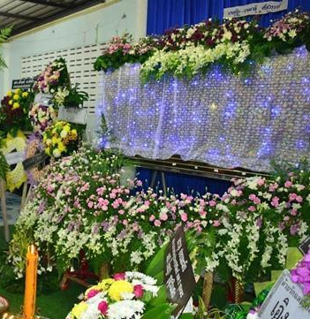 Hoa hậu Thái Lan 19 tuổi tai nạn: cha mẹ vắng mặt ở đám tang