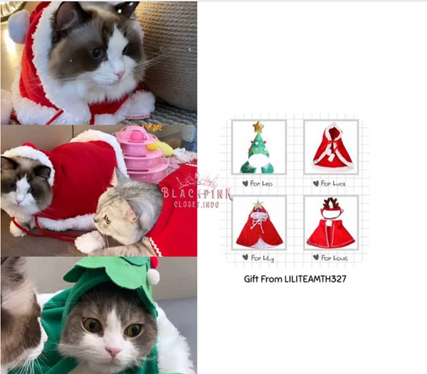     4 cô mèo xinh đẹp của Lisa nhận quà theo chủ đề Giáng sinh từ người hâm mộ. 