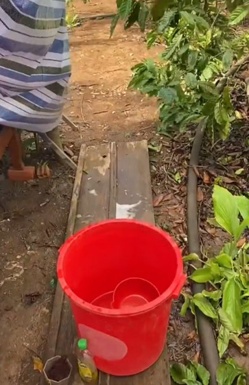 Chỗ cô và bị giặt giũ, rửa bát. (Ảnh cắt từ clip)
Chỗ cô và bị giặt giũ, rửa bát. (Ảnh cắt từ clip)
