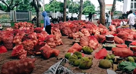  
Hàng chục tấn rau củ được chuẩn bị để gửi vào Sài Gòn. (Ảnh: Chụp màn hình)