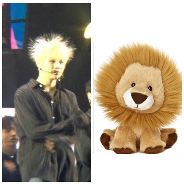  
Fan so sánh hình ảnh của Kang Daniel trông như chú sư tử. (Ảnh: Twitter)
