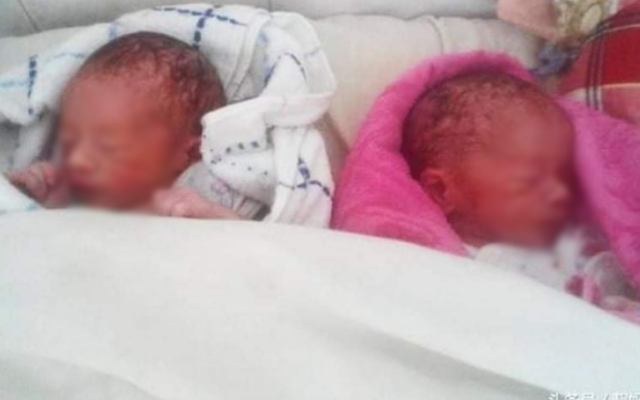  
Cặp song sinh chào đời an toàn sau 3 tiếng trong phòng cấp cứu. (Ảnh: Sohu )