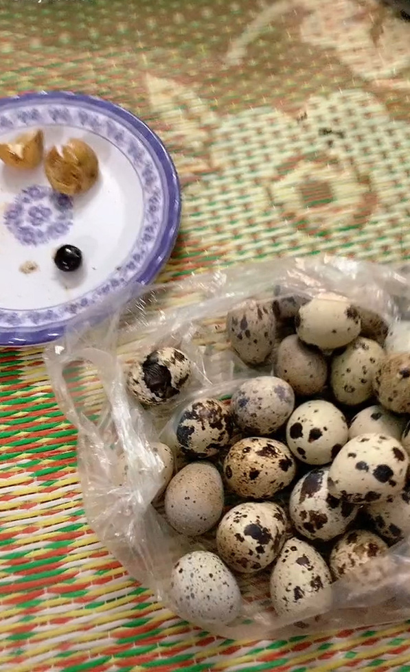 4 bài thuốc dân gian cực quý báu từ trứng chim cút