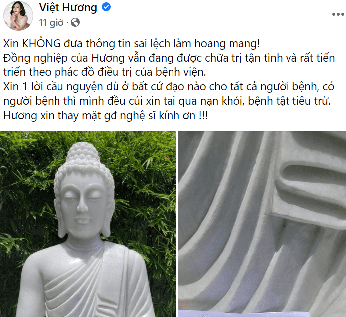  Việt Hương lên tiếng trên trang cá nhân về tình trạng của Phi Nhung. (Ảnh: Chụp màn hình)