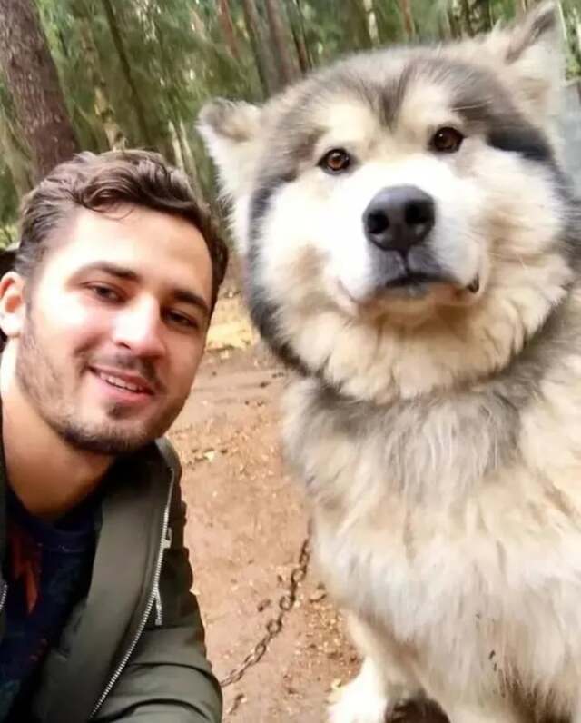  
Ivan là một người yêu quý chó. (Ảnh: QQ)