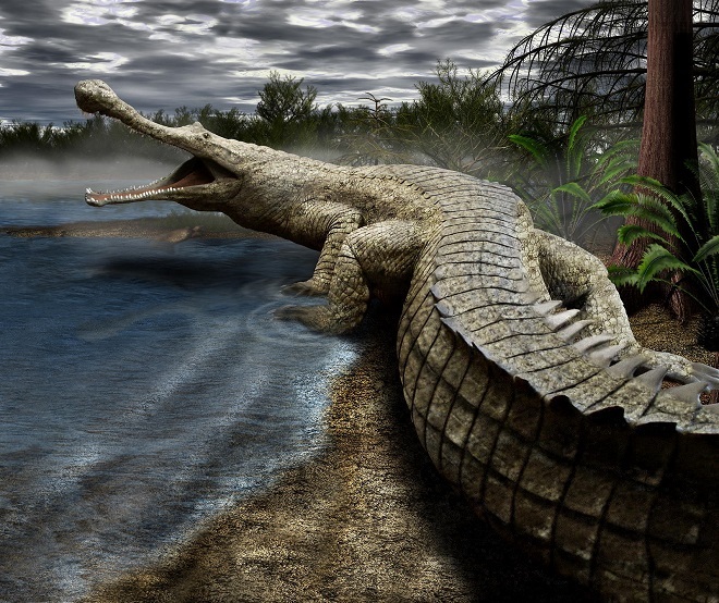  
Cá sấu dù là thời cổ đại hay bây giờ đều không thể sánh với giao long. (Ảnh: 24h)