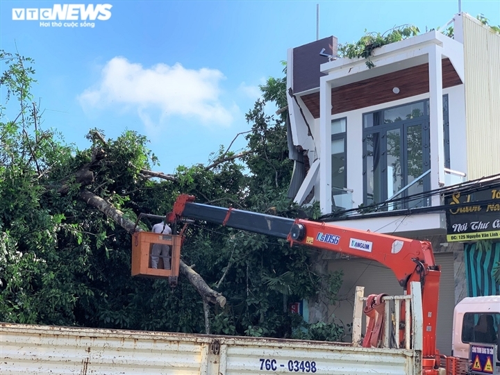  
Một phần ngôi nhà bên đường bị ngọn cây quật trúng. (Ảnh: VTC News)
