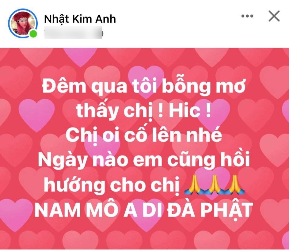  
Ca sĩ Nhật Kim Anh cũng mong "đàn chị" mau khoẻ. (Ảnh: Chụp màn hình) - Tin sao Viet - Tin tuc sao Viet - Scandal sao Viet - Tin tuc cua Sao - Tin cua Sao