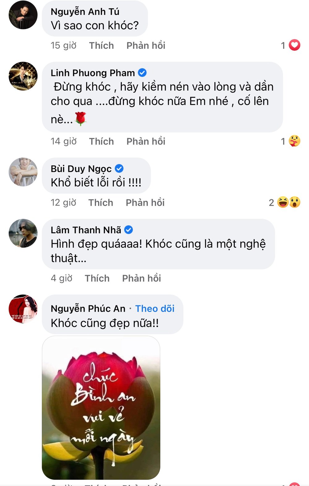  
Dàn sao Việt bình luận khi thấy Bảo Yến Rosie đăng chia sẻ buồn. (Ảnh: Chụp màn hình)