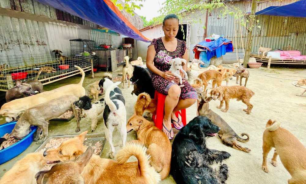 
Chị P. đang cưu mang một số lượng lớn chó, mèo. (Ảnh: Thanh Niên)