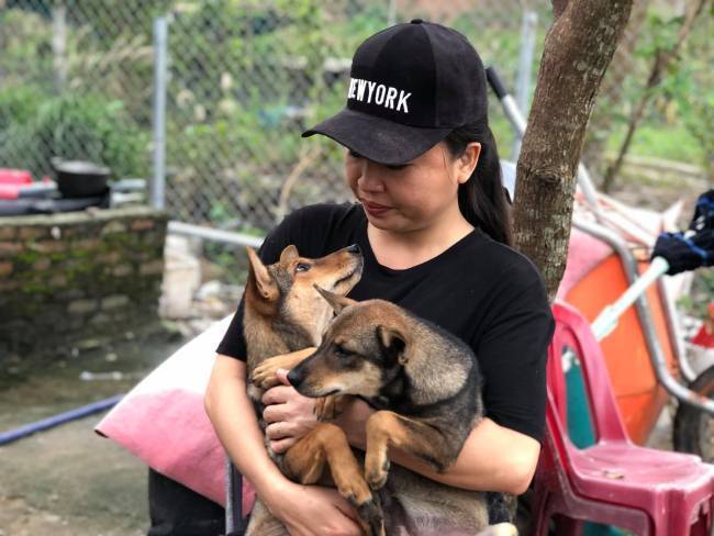 
Chị xem những chú chó như chính người thân trong gia đình. (Ảnh: Vietnamnet)