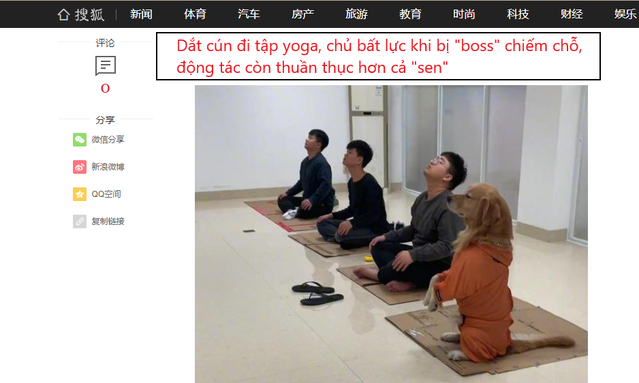 
Chú chó tập yoga làm MXH xứ Trung "dậy sóng". (Ảnh: Chụp màn hình)