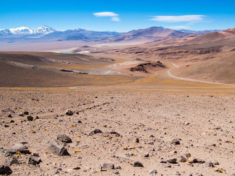 Khung cảnh vẫn thường thấy ở sa mạc Atacama. (Ảnh: The Guardian)