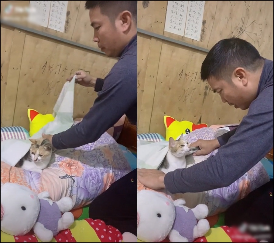  
Ông bố cẩn thận trải nệm, đắp chăn cho bé mèo. (Ảnh: Chụp màn hình)