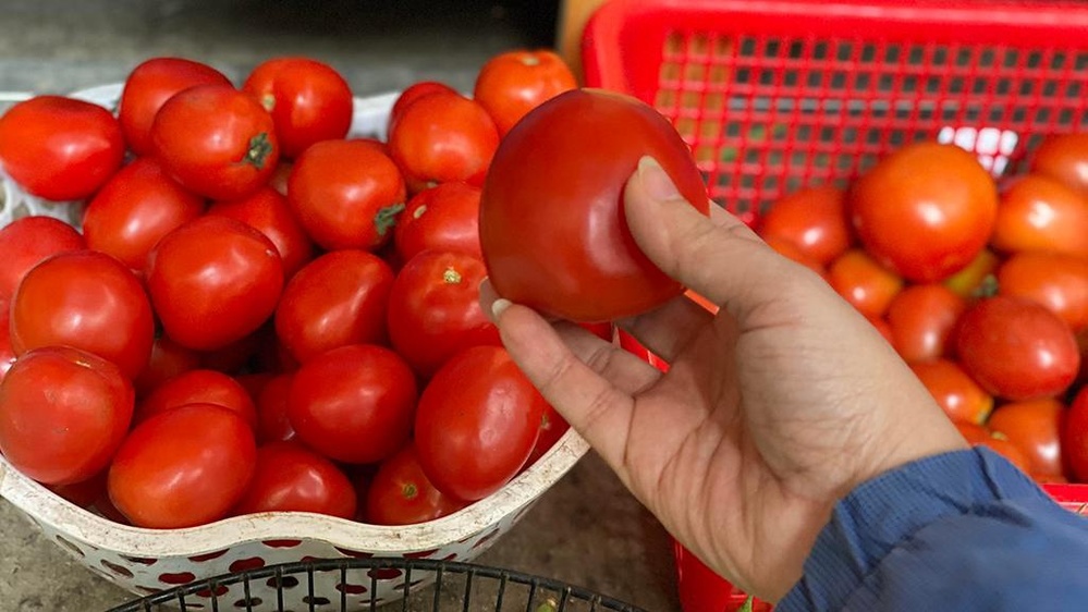  
Giá cà chua tại Hà Nội đang ở mức cao nhất lịch sử. (Ảnh: Thanh Niên)