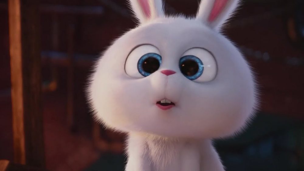 Chú thỏ đáng yêu luôn giả ngây ngô trước mặt chủ lại là nhân vật siêu ngầu trong cả bộ phim. 
