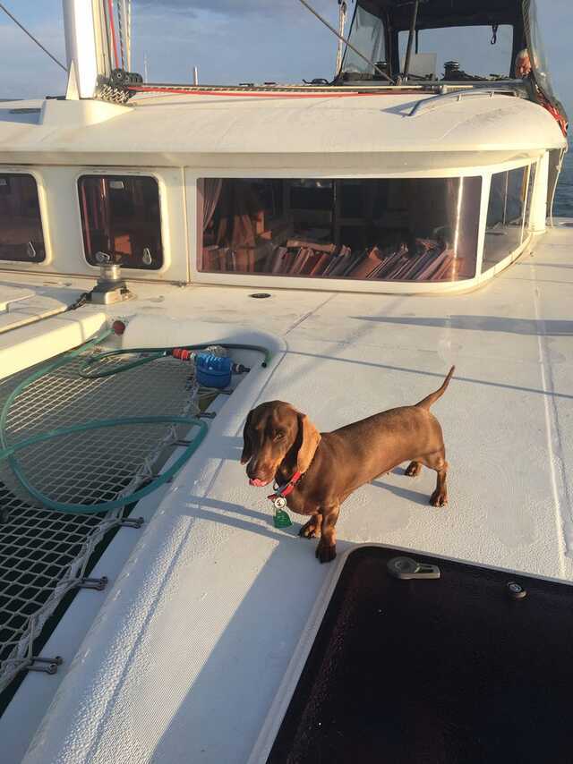  
Pip luôn góp mặt trên chuyến đi bằng du thuyền. (Ảnh: Insider)