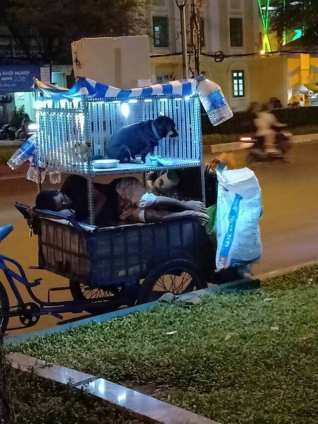  
Hai bé chó ngồi trong lồng ngoan ngoãn chơi đùa cùng nhau. (Ảnh: Người Đưa Tin)