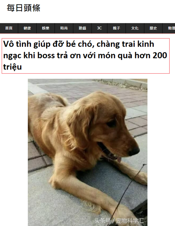  
Bài viết "gây bão" MXH xứ Đài. (Ảnh: Chụp màn hình trang Kknews)