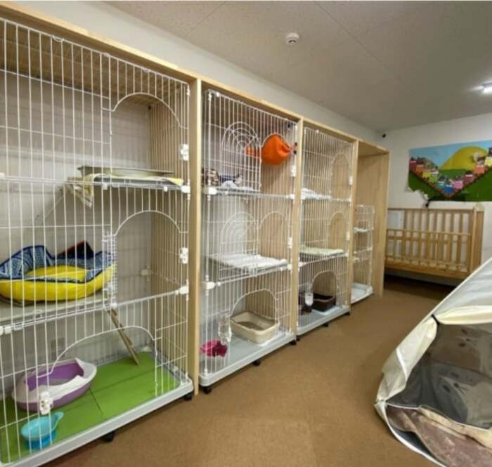  Hotel and shelter Naoki built for cats.  (Photo: Bored Panda)