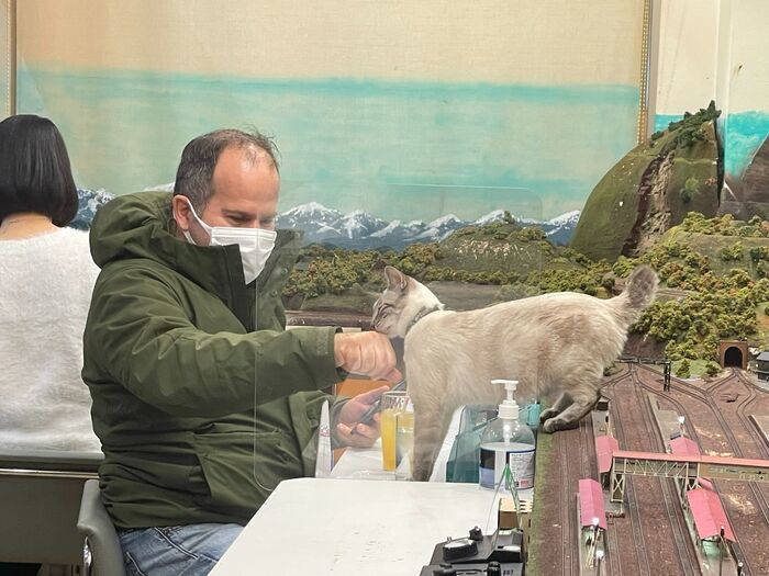  The number of customers coming to the restaurant is increasing day by day.  (Photo: Bored Panda) The cats are extremely friendly with guests!  (Photo: Bored Panda)