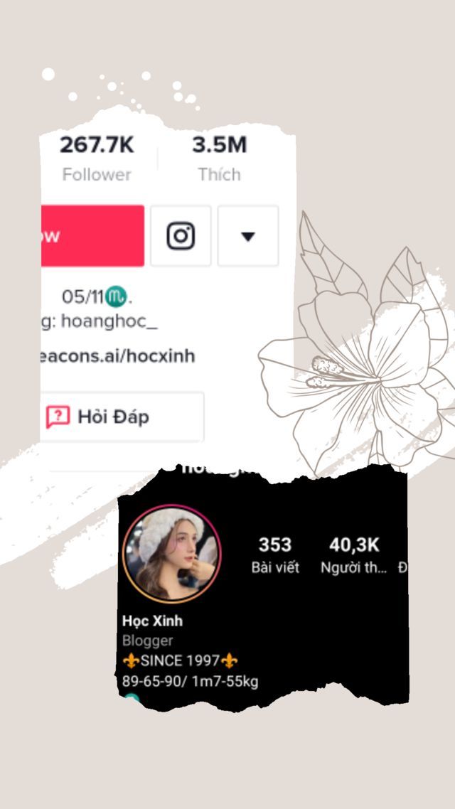  
Hoàng Học cũng có lượng theo dõi đáng ngưỡng mộ trên TikTok và Instagram. (Ảnh: Chụp màn hình)