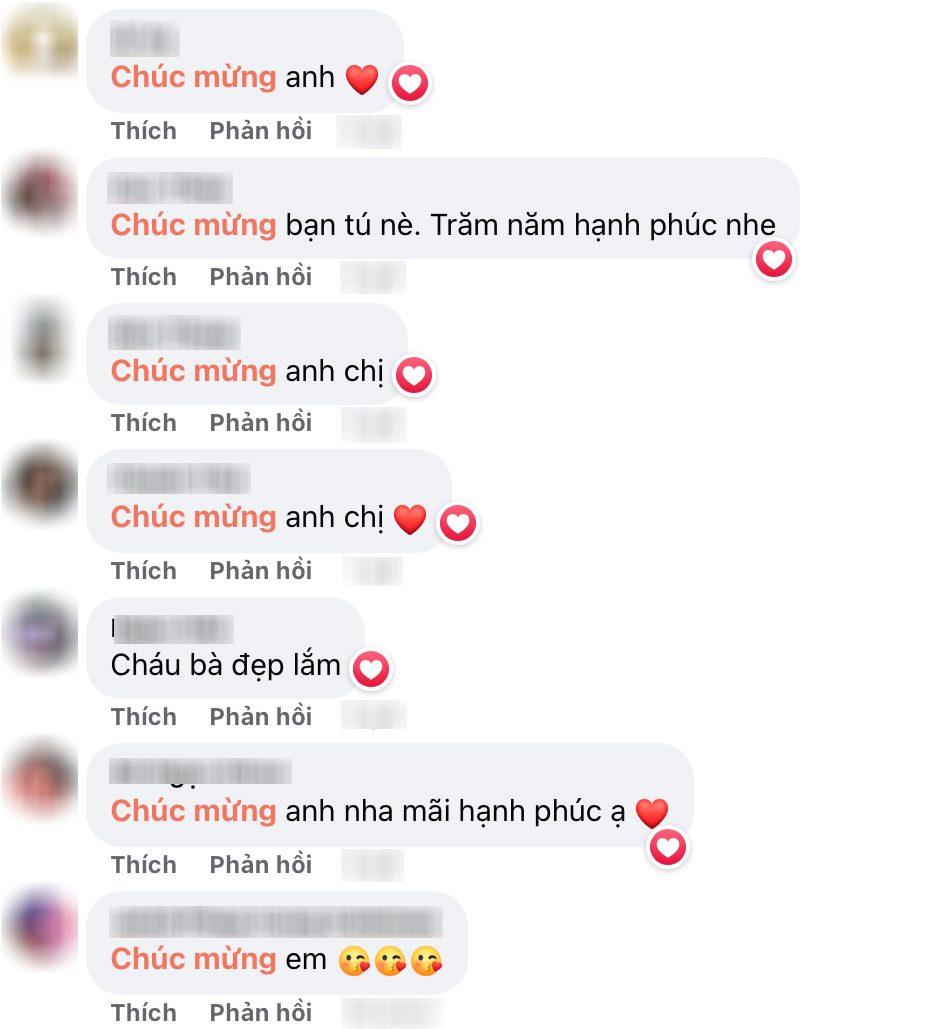  
Khán giả gửi lời chúc phúc cho cặp đôi. (Ảnh: Chụp màn hình FB Nguyễn Anh Tú)