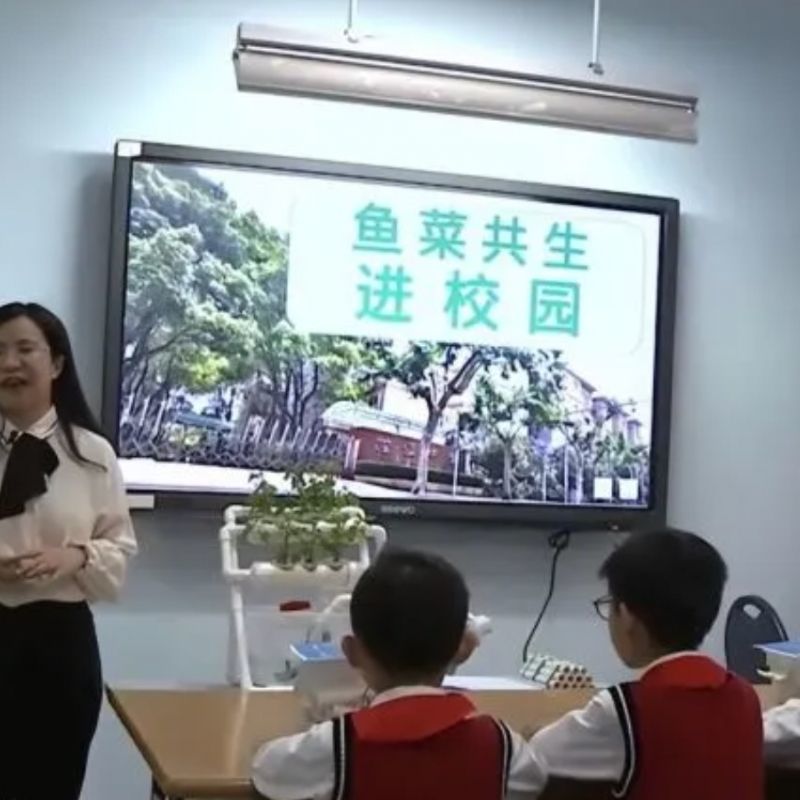  Mô hình "aquaponics" được đưa vào chương trình giảng dạy ở một trường học tại Trung Quốc. (Ảnh: Tencent)