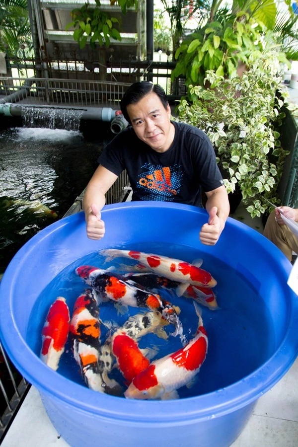 Doanh nhân Thắng Ngô là người Việt Nam duy nhất trong ban giám khảo cuộc thi cá Koi hàng đầu thế giới All Japan Nishikigoi Show lần thứ 50. (Ảnh: Dân trí) Doanh nhân Thắng Ngô là người Việt Nam duy nhất trong ban giám khảo cuộc thi cá Koi hàng đầu thế giới All Japan Nishikigoi Show lần thứ 50. (Ảnh: Dân trí) - Tin sao Viet - Tin tuc sao Viet - Scandal sao Viet - Tin tuc cua Sao - Tin cua Sao